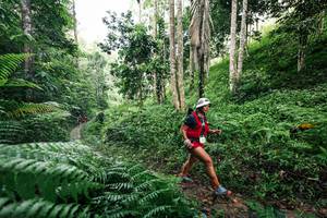 BIB: 
                            <button type="button" onclick="openModal(26408968)" class="btn btn-primary btn-sm float-right btn-popup" data-toggle="modal" data-target=".modal-high-quality">
                        <i class="fas fa-shopping-cart"></i> Add to Cart
                    </button>
                                            <button type="button" onclick="isThisMe(26408968, true)" class="btn btn-success btn-sm float-right btn-popup btn-isme hidden" data-toggle="tooltip" data-placement="bottom" title="นี่คือรูปของคุณใช่ไหม คลิกที่นี่เพื่อเอาเข้าอัลบั้ม">
                        <i class="fas fa-plus"></i> Add to album
                    </button>
                    <button type="button" onclick="isThisMe(26408968, false)" class="btn btn-warning btn-sm float-right btn-popup btn-isnotme hidden">
                        <i class="fas fa-ban"></i> Remove from album
                    </button>